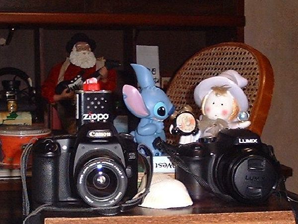 1999年製カメラの写り～FUJIFILM