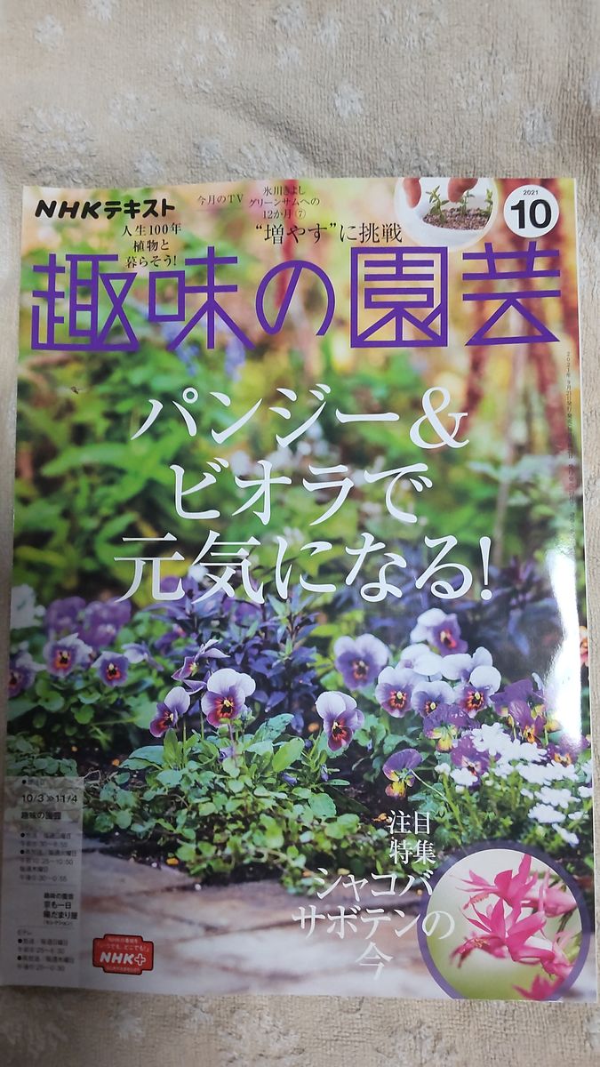 趣味の園芸　１０月号