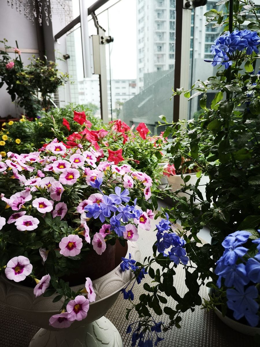 台風🍃🌀☔来た❗