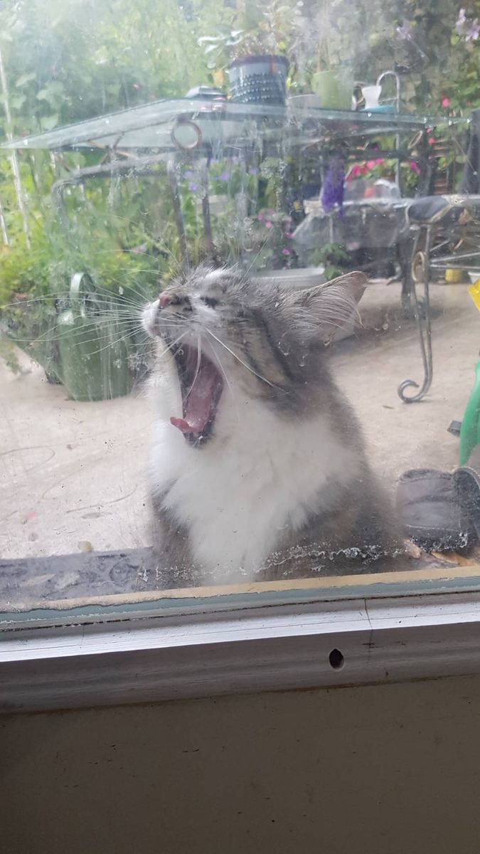 雨上がり