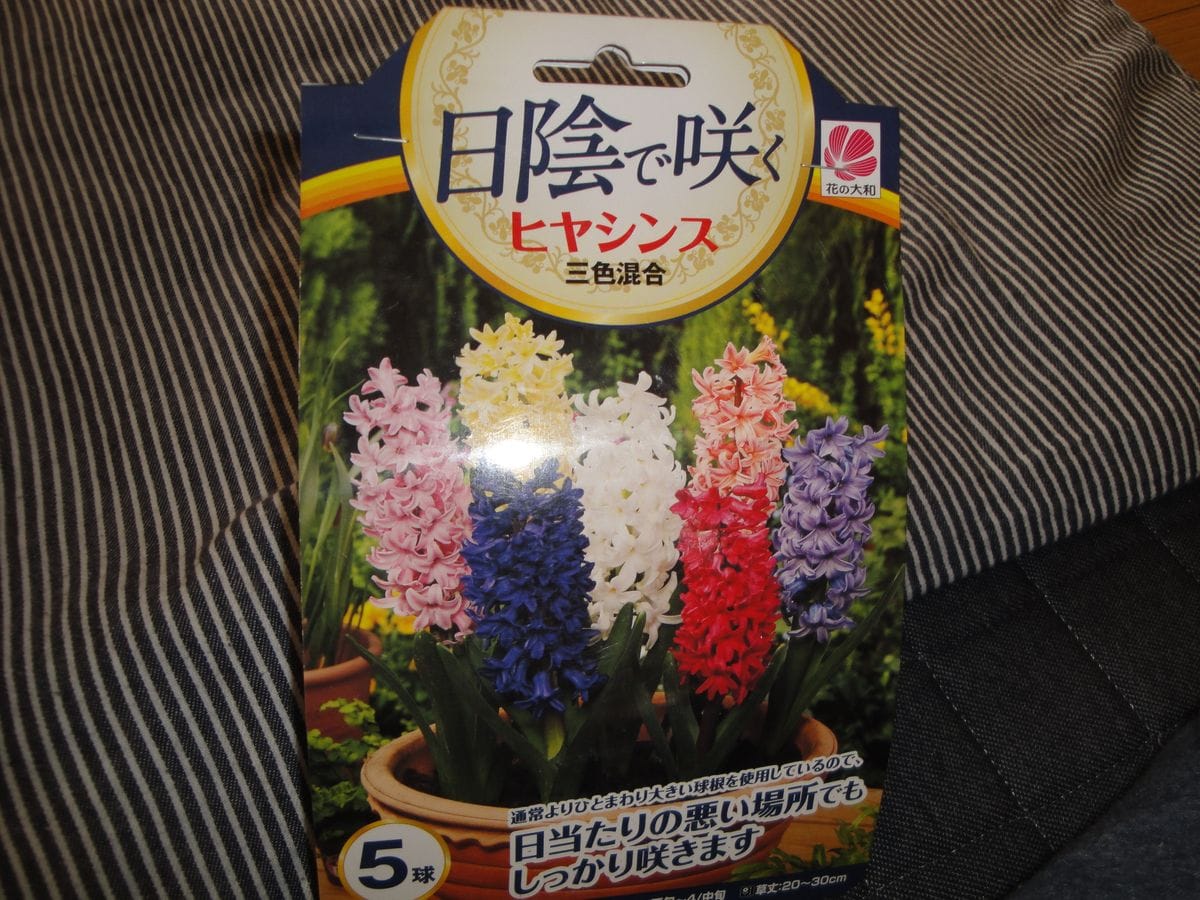 また買ってきました🌸😊