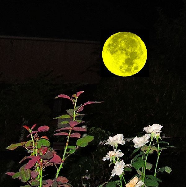 深夜にごそごそ～