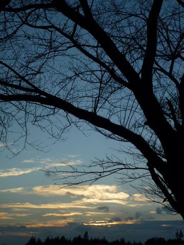 夕焼けみたよ