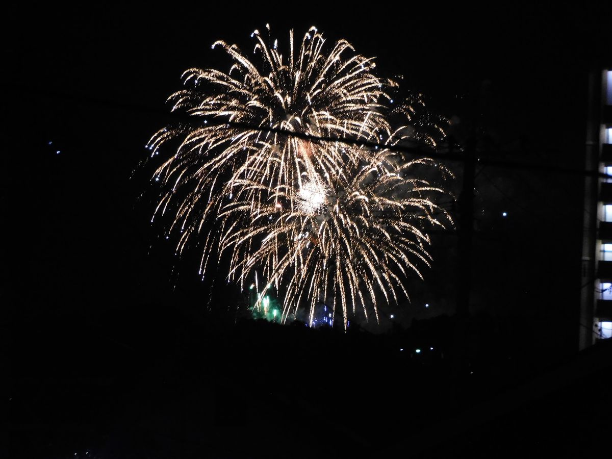 晴。ススキ。花火。野山の果実。