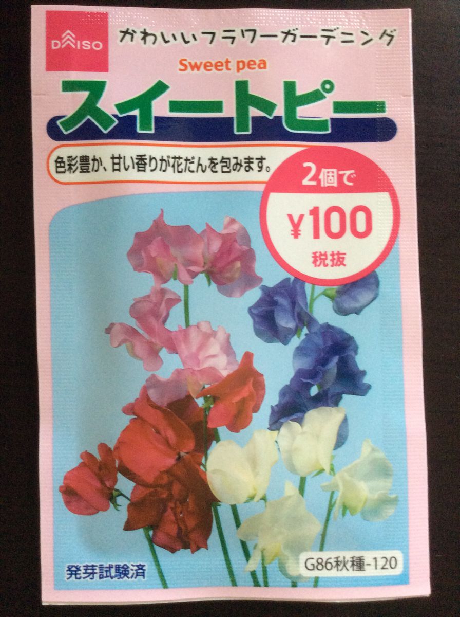 お花🌸にまつわるエトセトラ   〜スイートピー〜