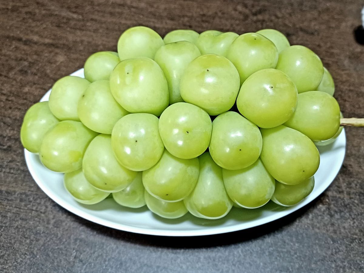 まさかの🍇×🍇＝笑😂