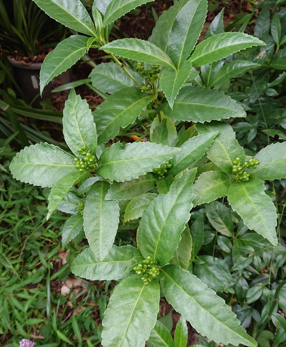 風が爽やかです‼️😃