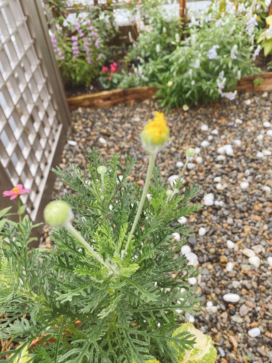 雨あがってね🙏