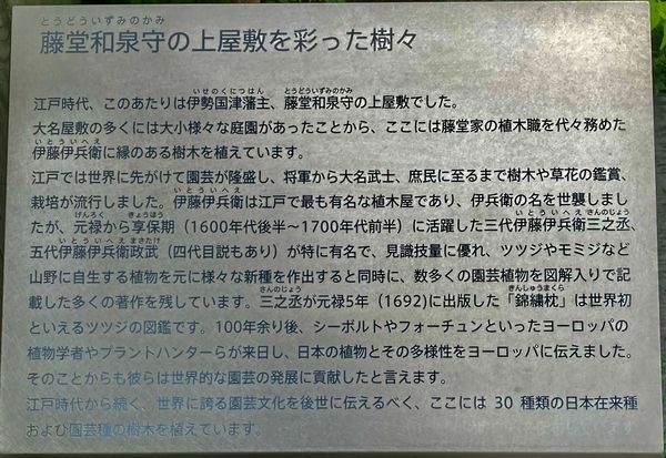  🍂秋葉⑫ 結果ともあれ②