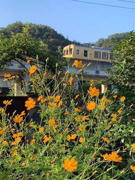 庭の花と井原鉄道