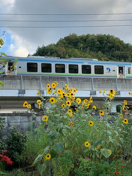 庭の花と井原鉄道