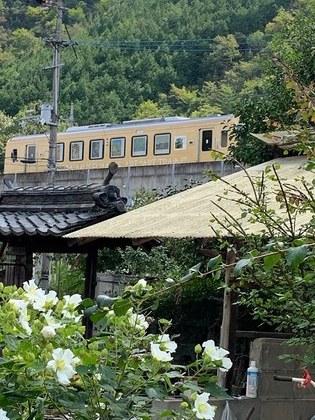 庭の花と井原鉄道