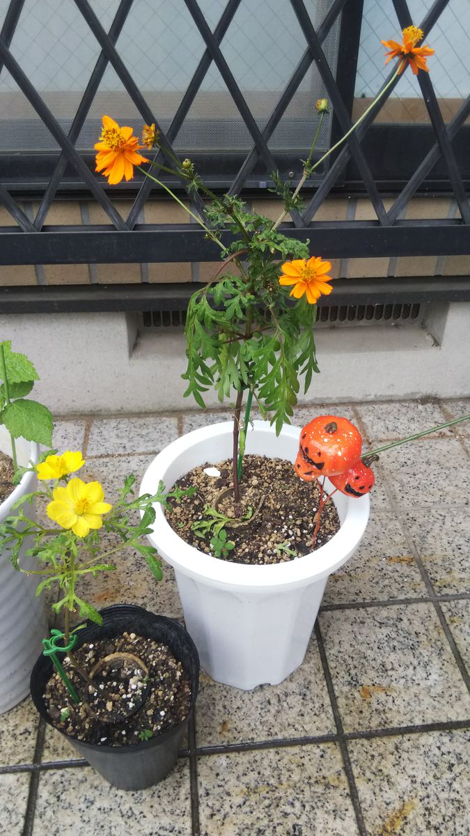 気温が下がり、小雨の午後