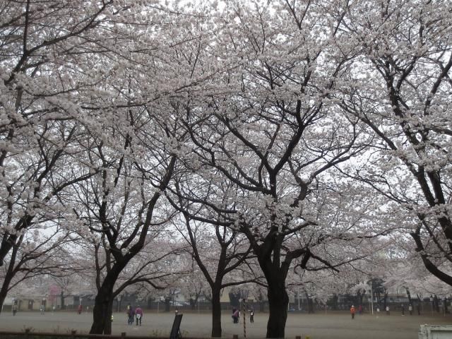 花冷え