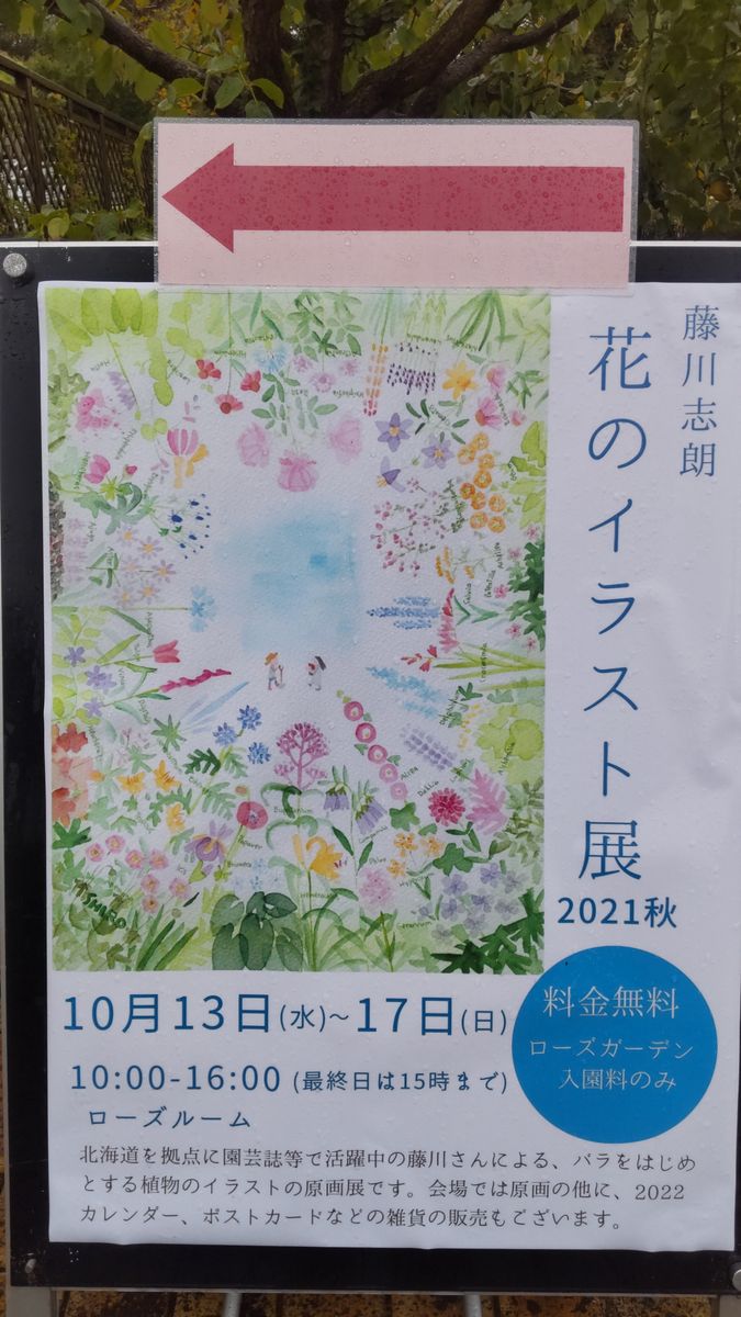 昨日は、何かと忙しい１日