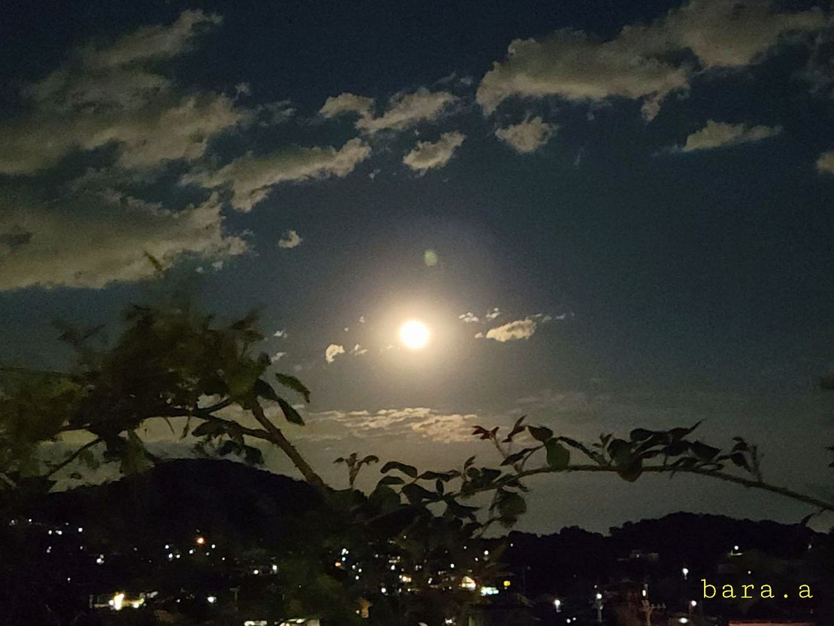 🌕今夜は満月ですね🌕