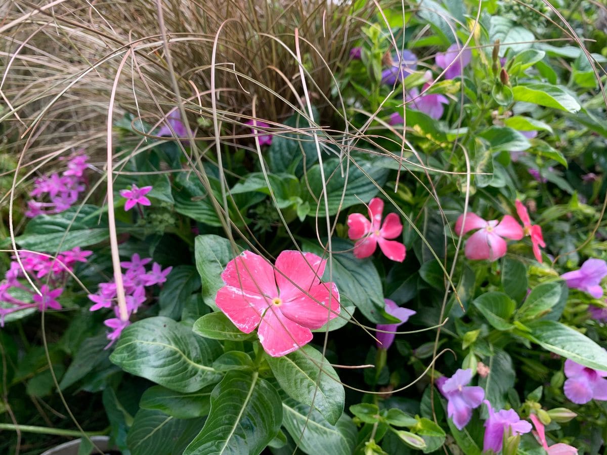 花の金曜日(^_-)-☆