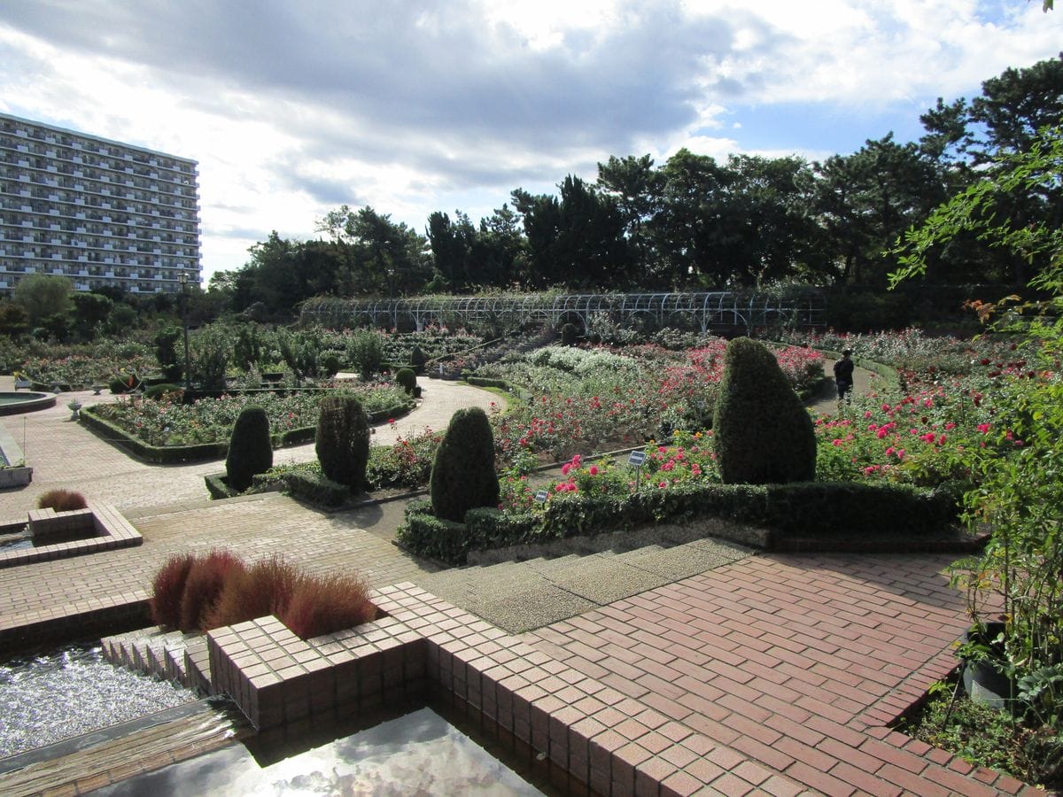 谷津バラ園