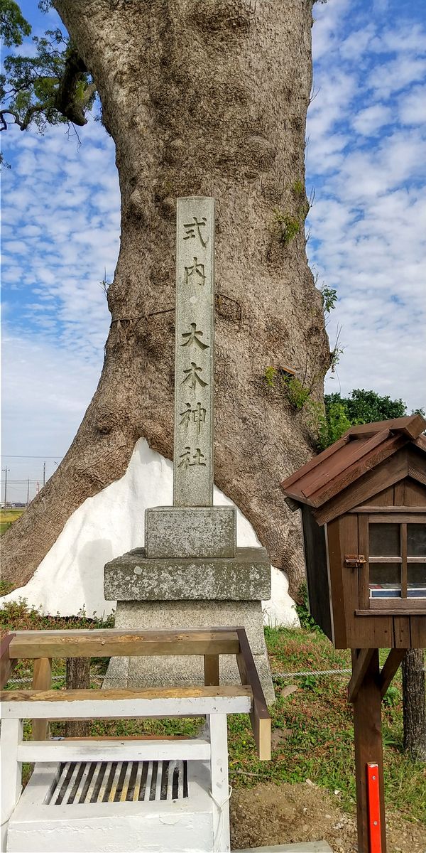 長太の大楠