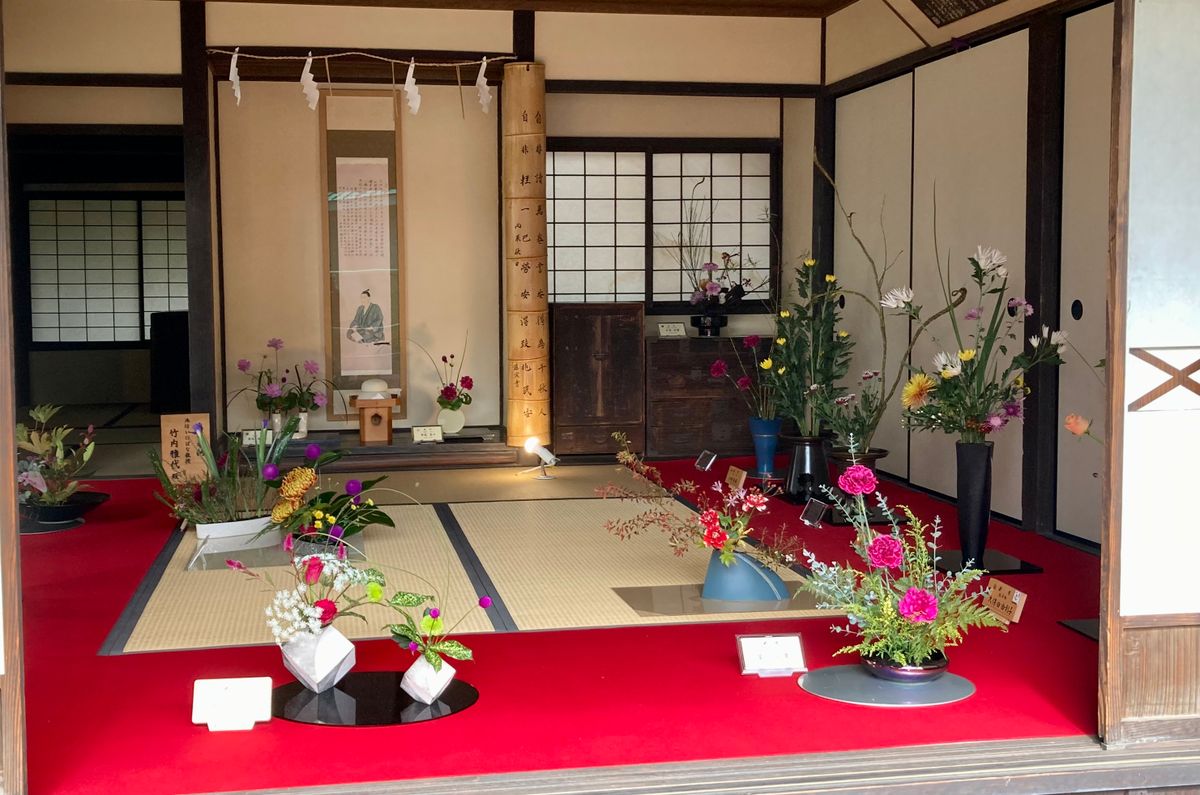 ⛩️松陰神社 例大祭① 🌸三景