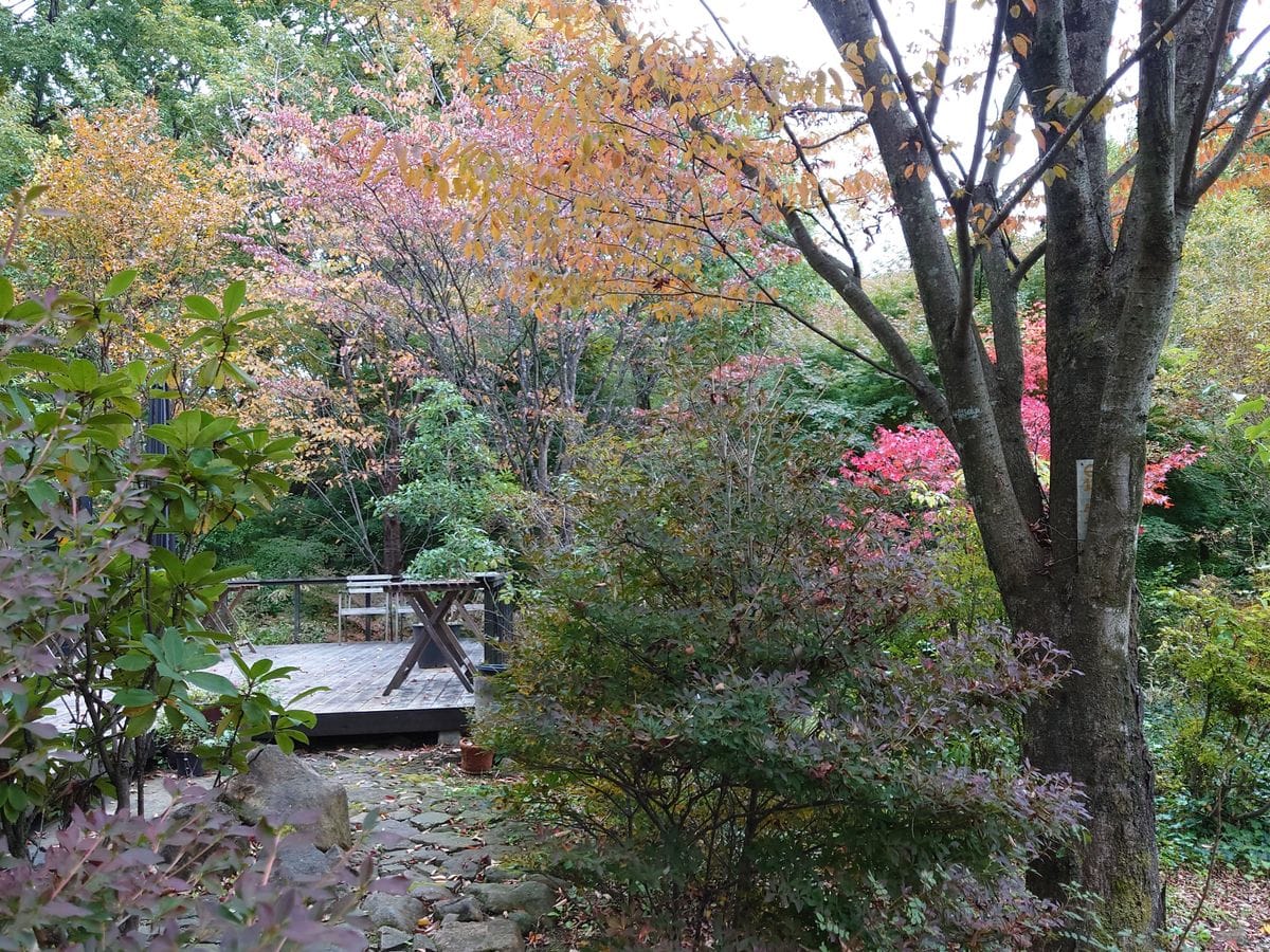 卯三郎の餅