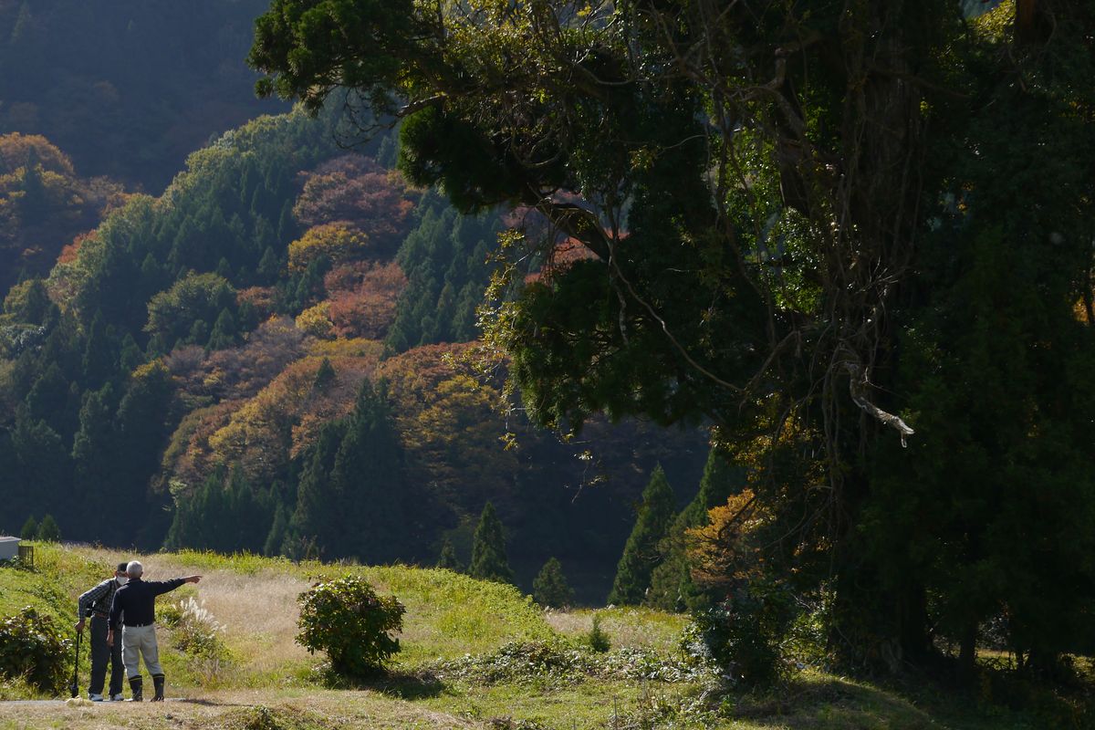 里山散歩