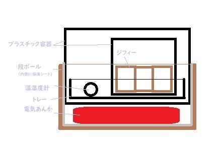 ビカクシダの胞子培養③-装置の温度検証・・胞子栽培の加温装置？準備・・