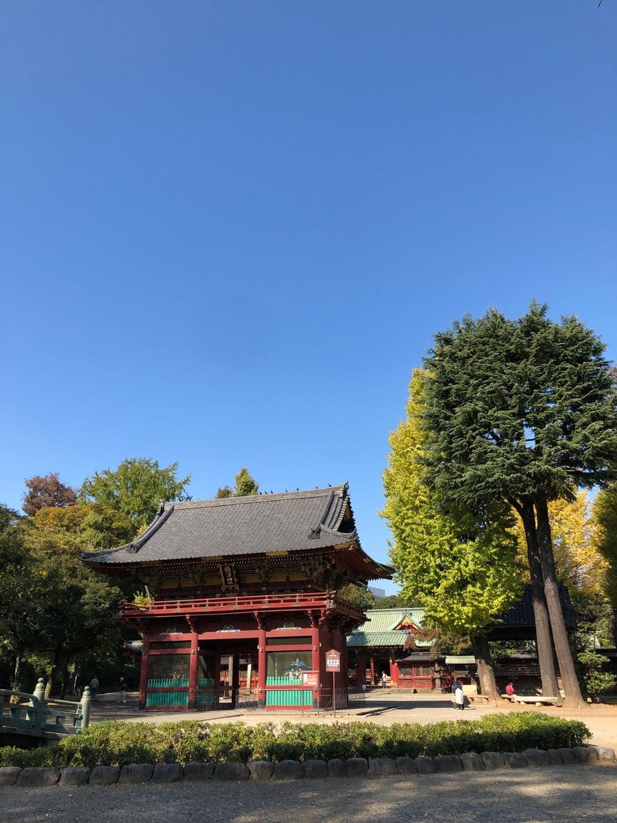 根津神社の黄葉