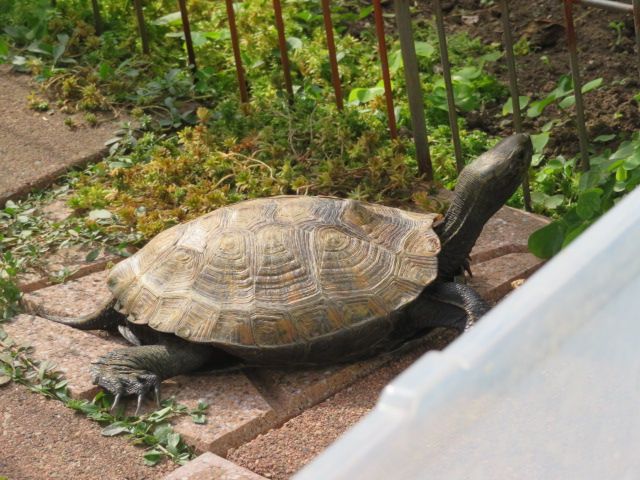 穏やかな休日