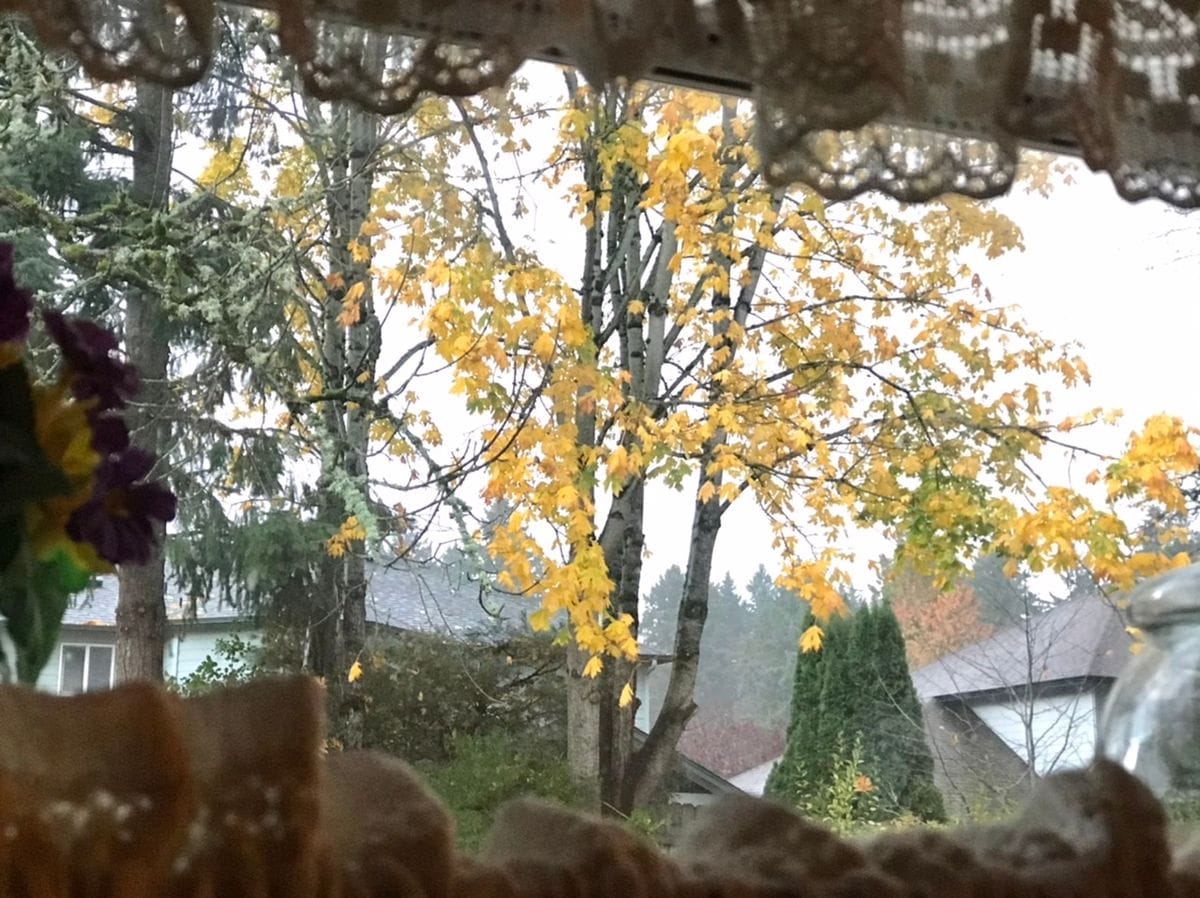 キッチンの窓から…朝の風景