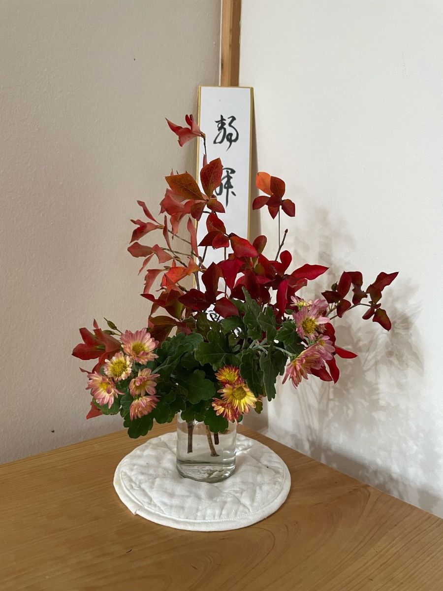 紅葉したドウダンツツジと菊