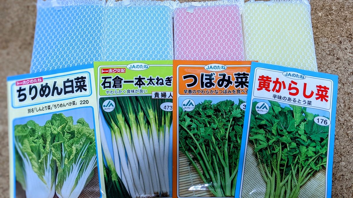 水耕栽培　葉物野菜の種まき