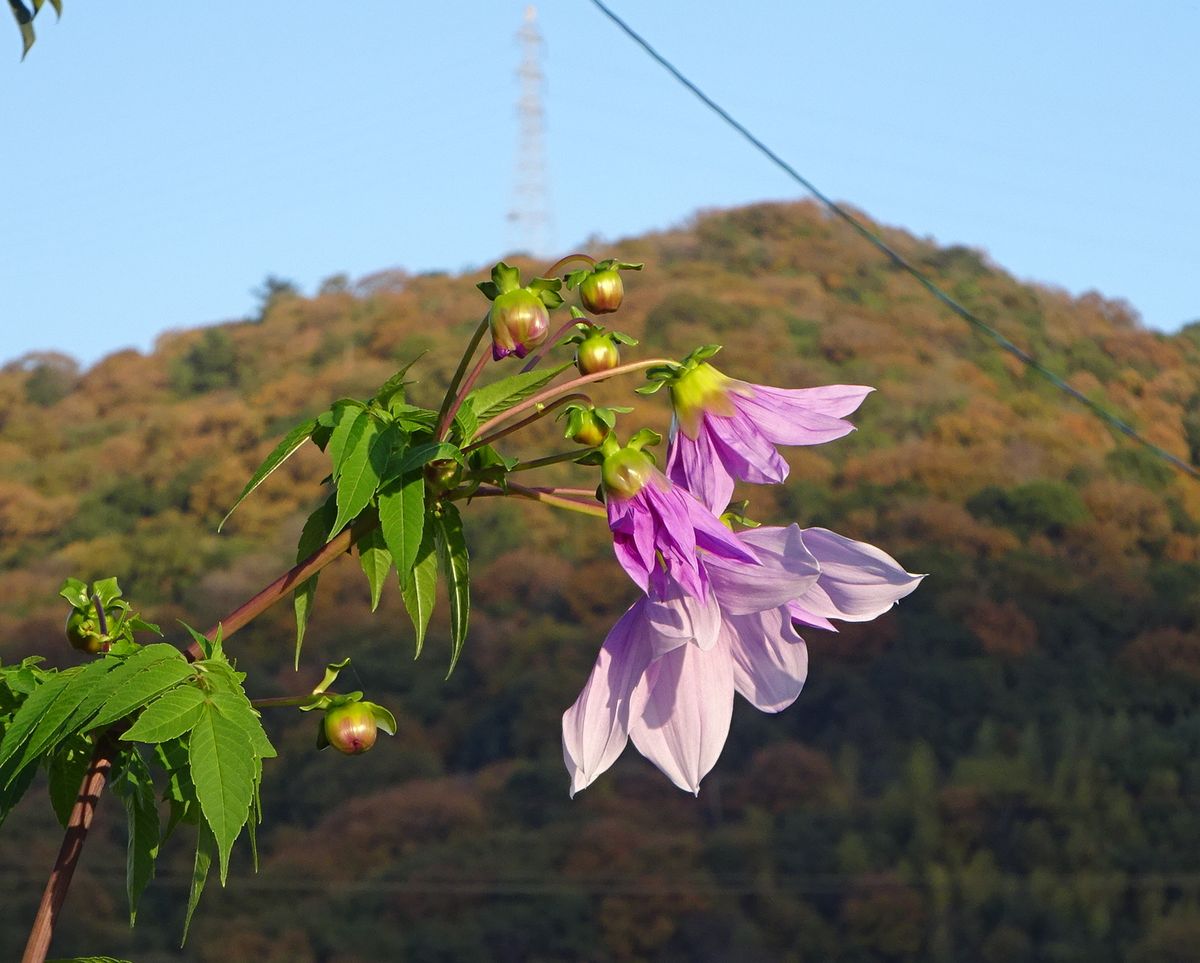 泣きたいときもある