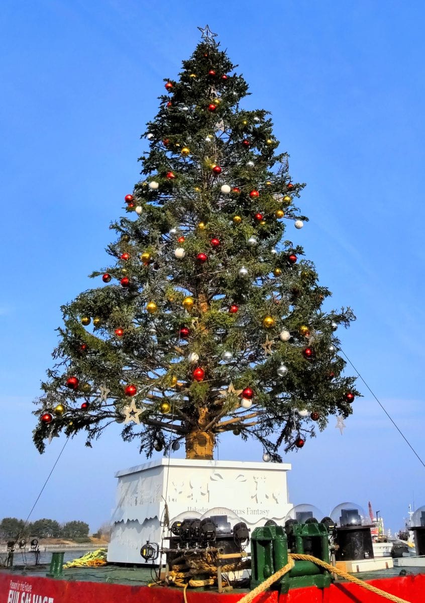 ベイエリアのツリー🎄