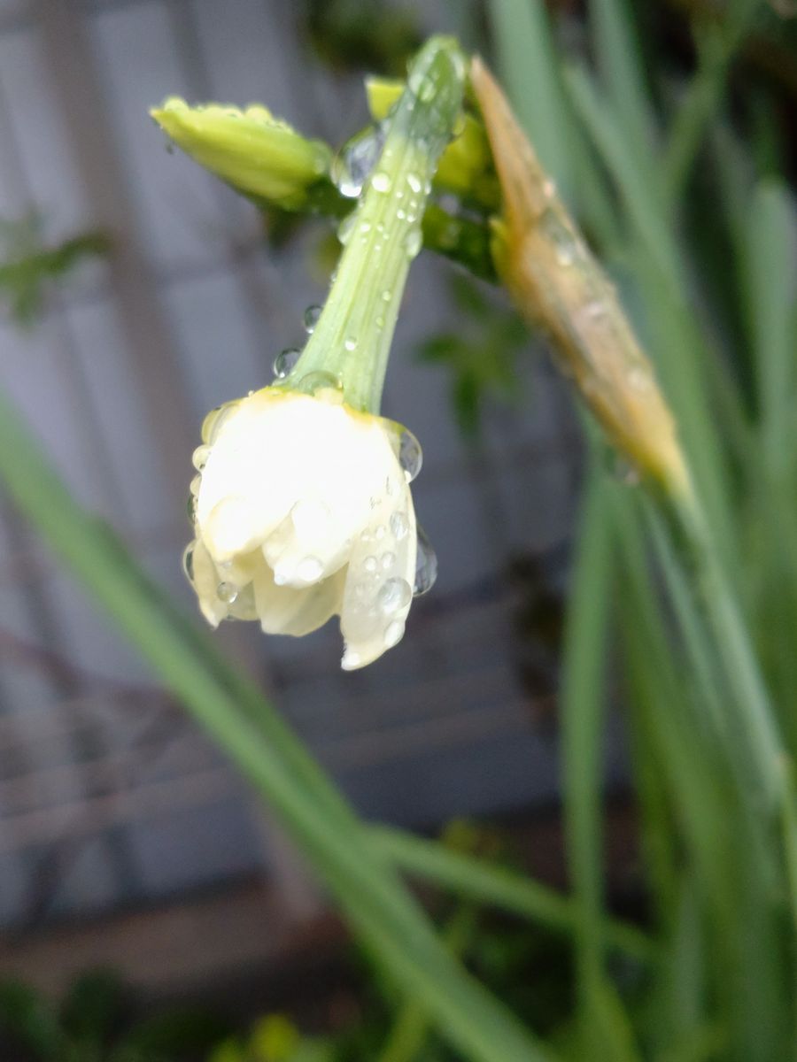 新年まであと一ヶ月🎍