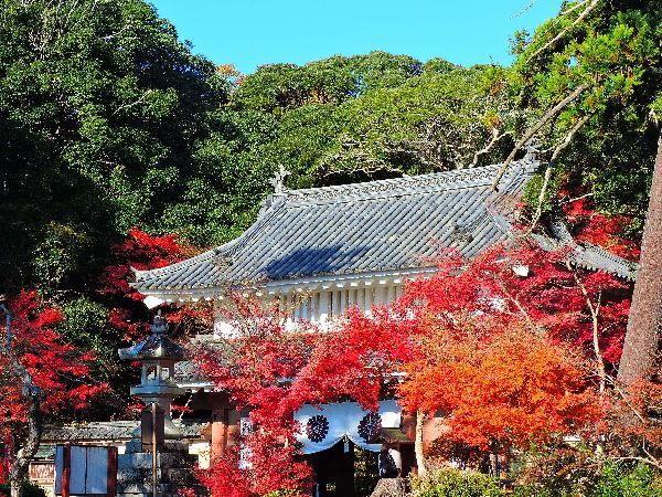 紅葉狩り～油山寺