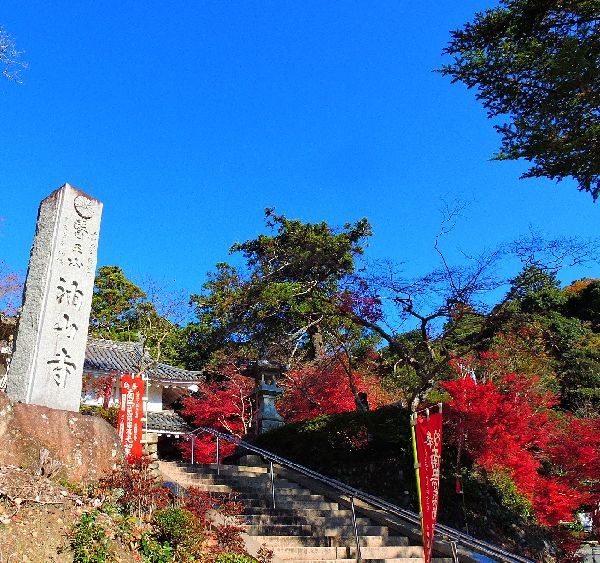 紅葉狩り～油山寺