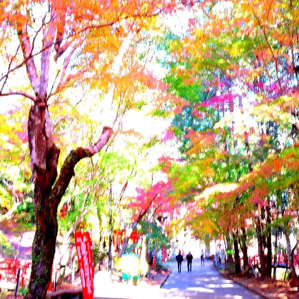 紅葉狩り～油山寺　②