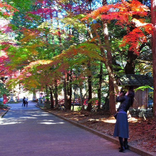 紅葉狩り～油山寺　③