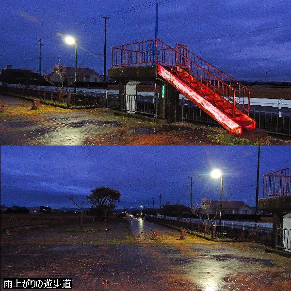 雨上がりのの散歩道。ウォーキングMS⑨302日目(3222日目)