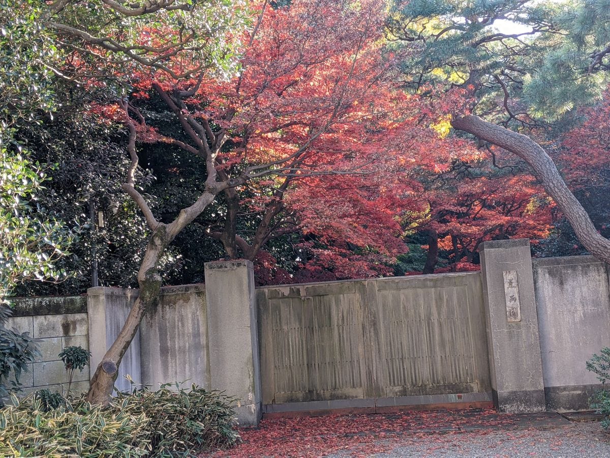 蕉雨園