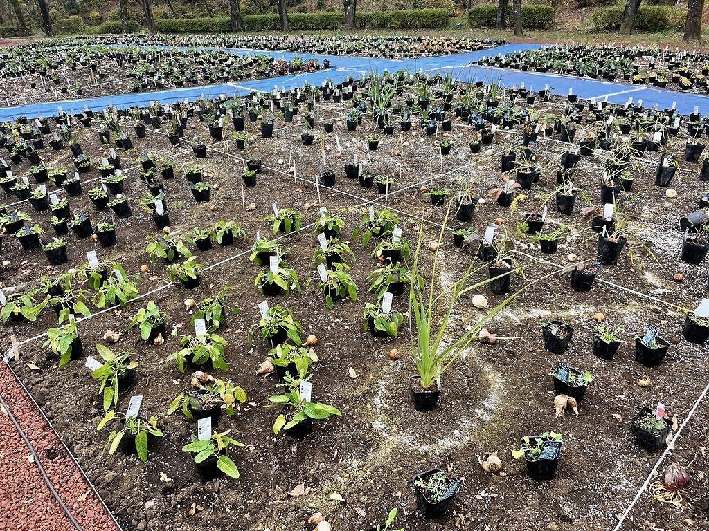 PIET OUDOLF GARDEN TOKYO