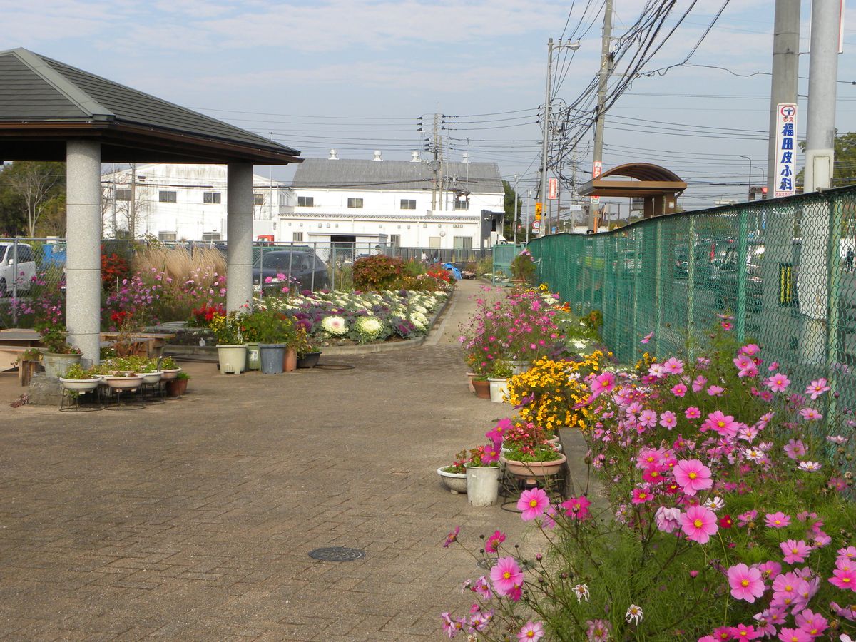 園芸ボランティア定例作業日・・