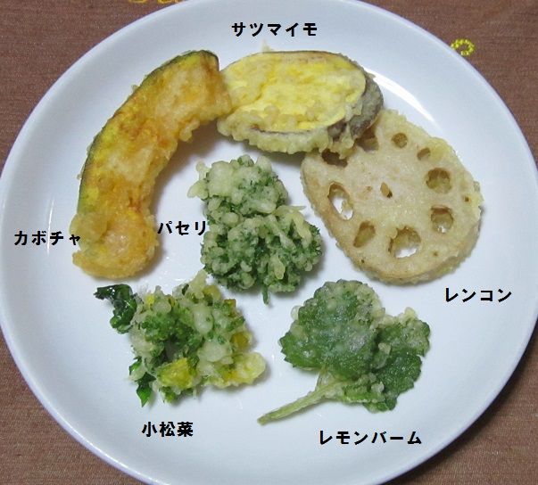 本日の夕食（レモンバーム）