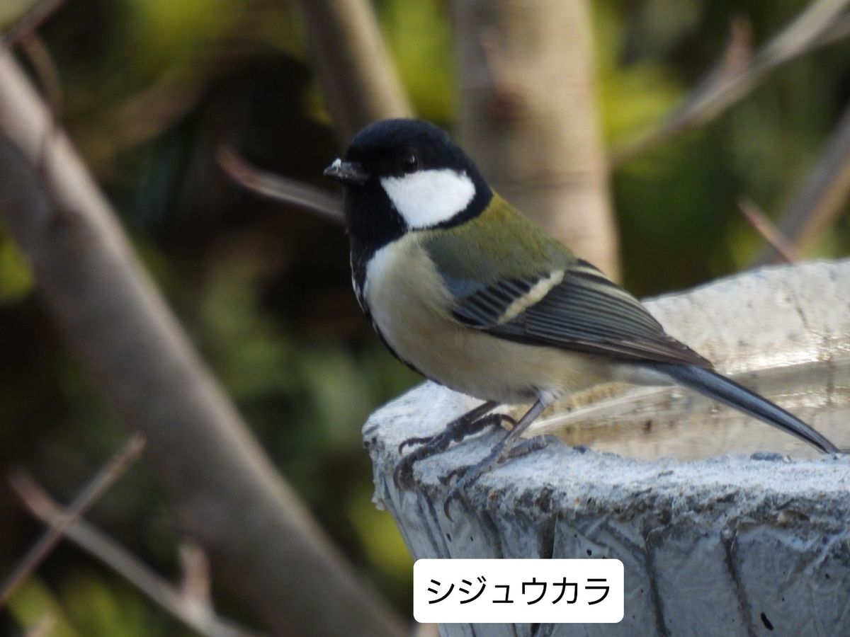 昨日のお客様から😃🎵