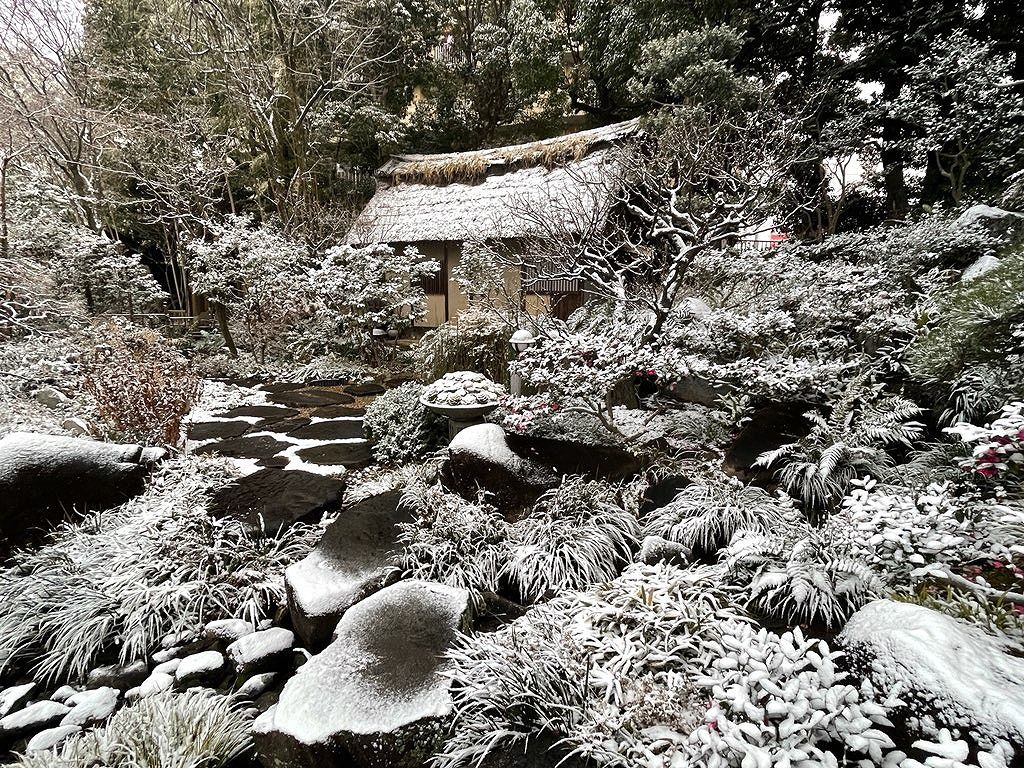 雪景色