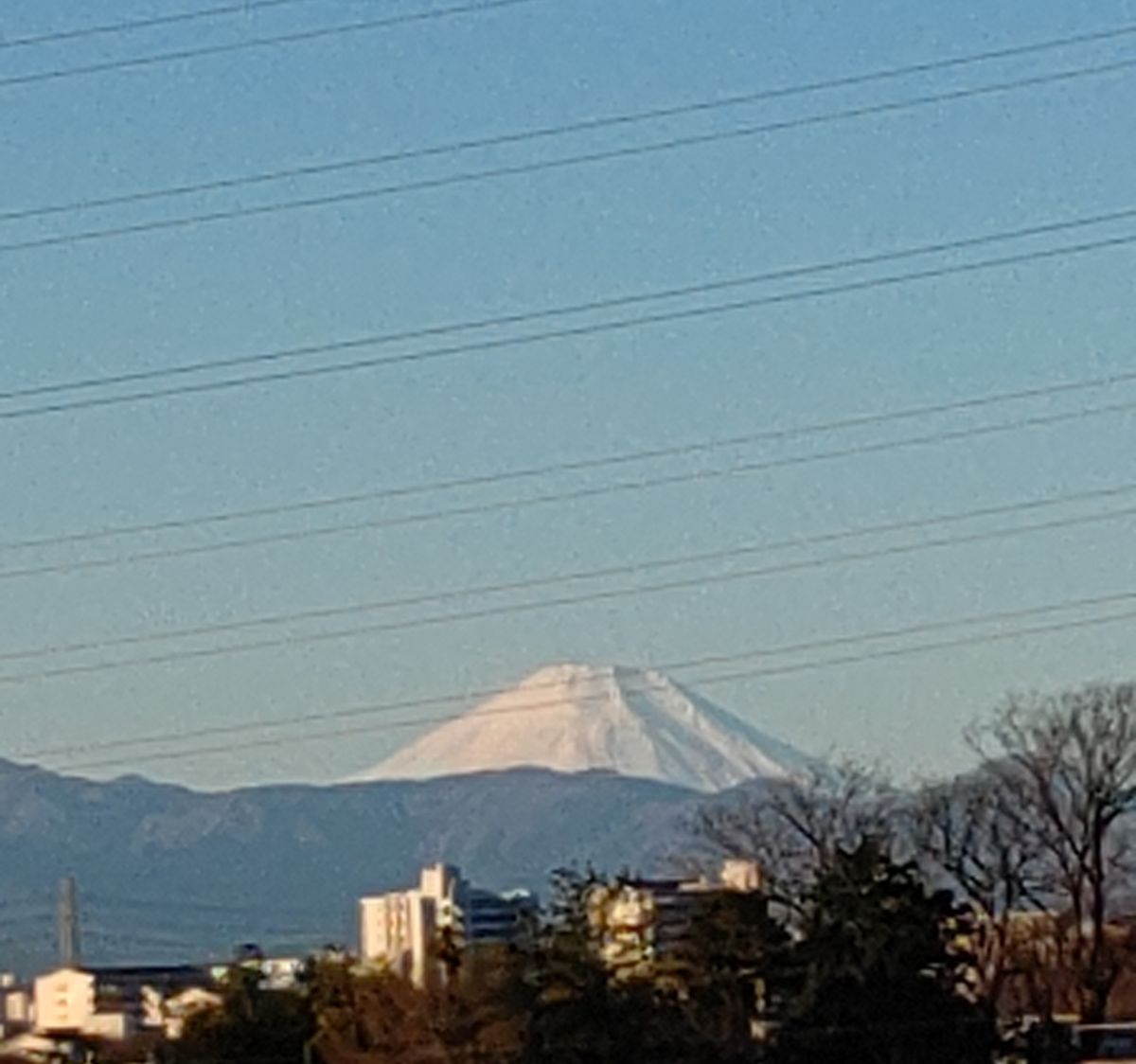 🎍今年もよろしくお願いします🎍