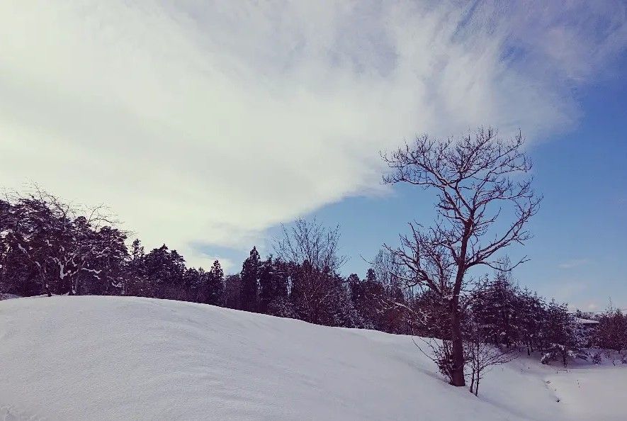 いい天気☀️