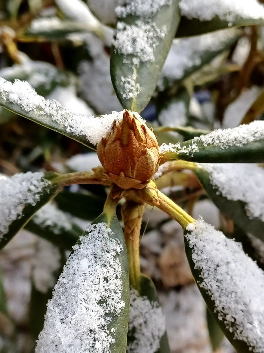 寒い１日❄️