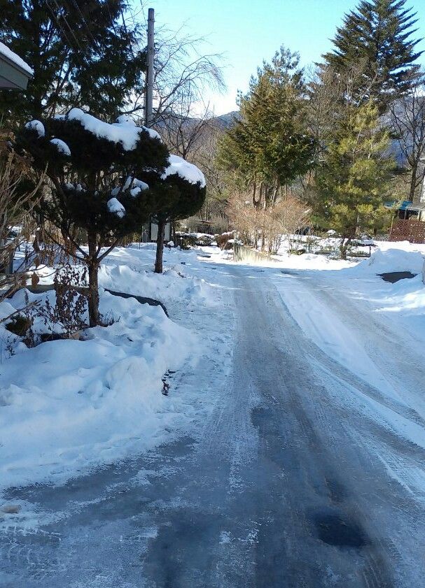 一週間前は雪国だった⛄今日は☀